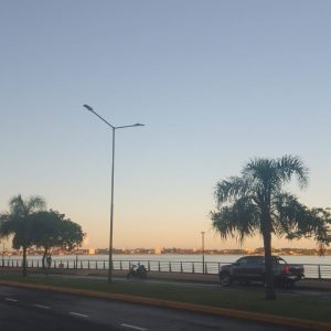 Paseador de perros