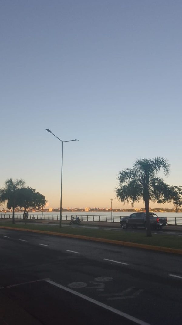 Paseador de perros